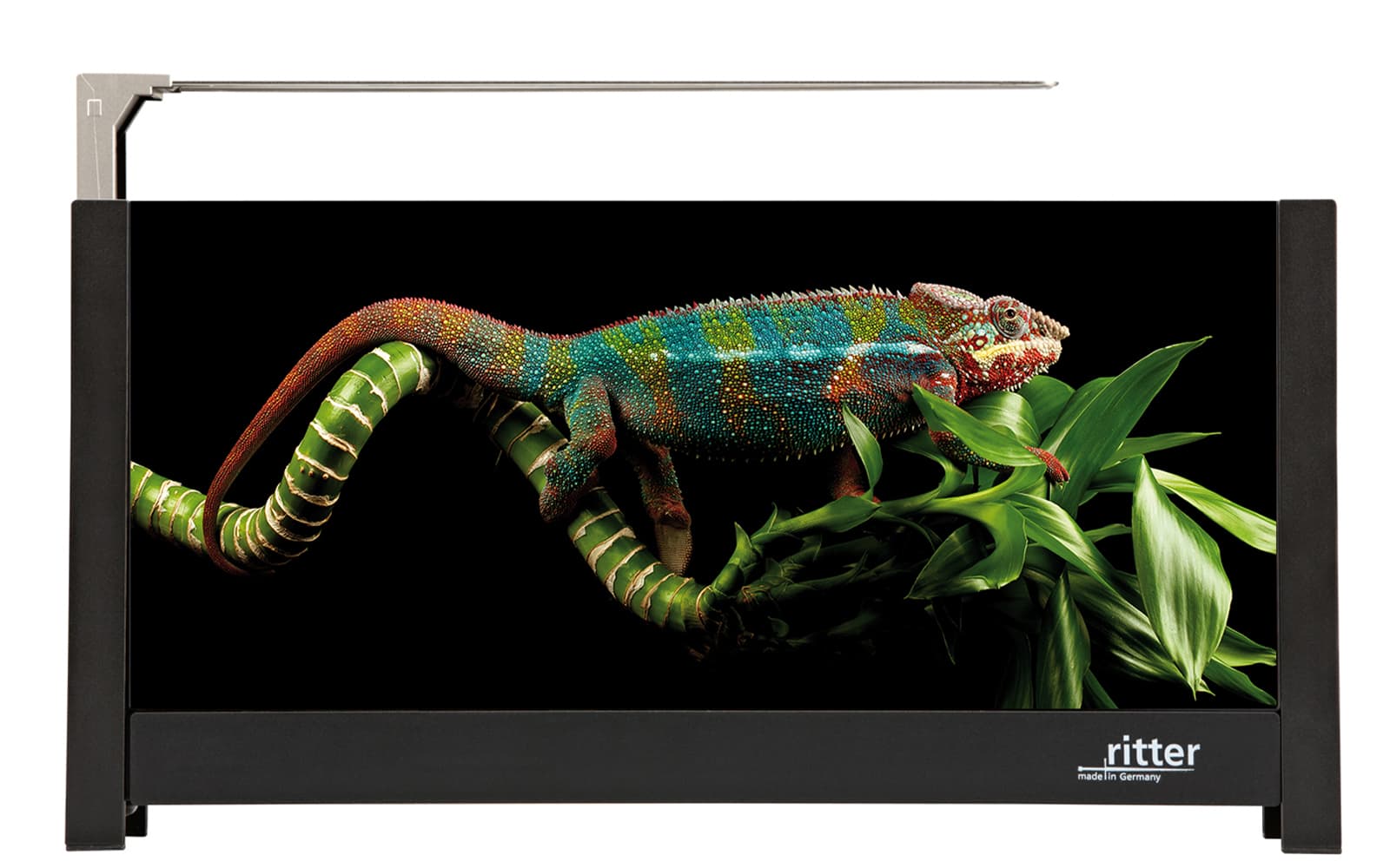 A picture of a black toaster with a printed chameleon design on the side.